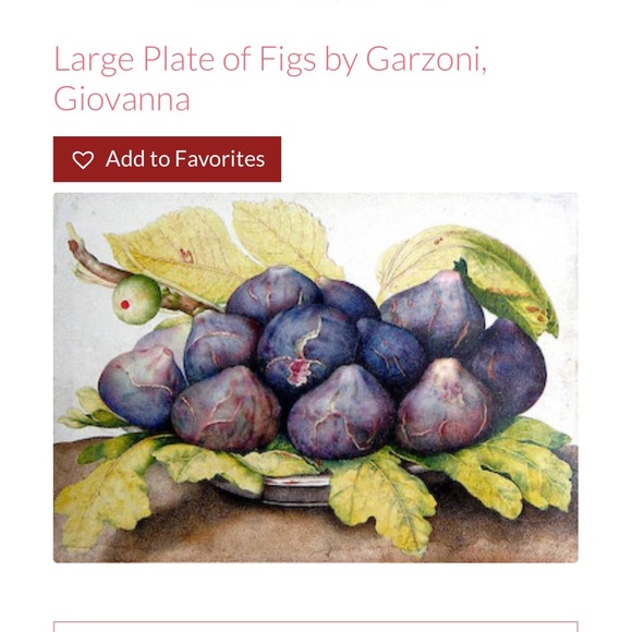 Large Plate of Figs Needlepoint Canvas ( NWOT) - Picture 2 of 13